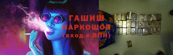 сатива Ростов