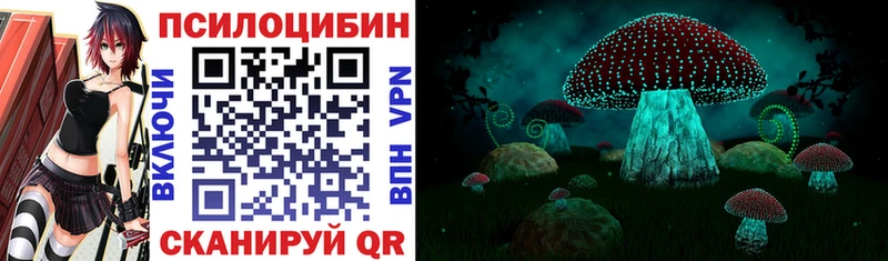 Псилоцибиновые грибы MAGIC MUSHROOMS  где продают   Бежецк 