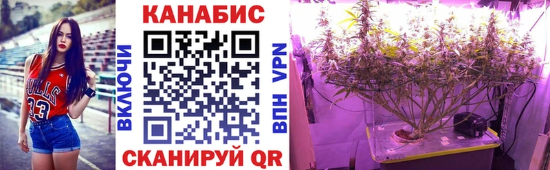 Бошки марихуана OG Kush  цена наркотик  Бежецк 